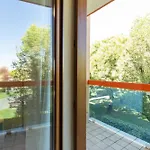 Ginepri Lido Altanea *