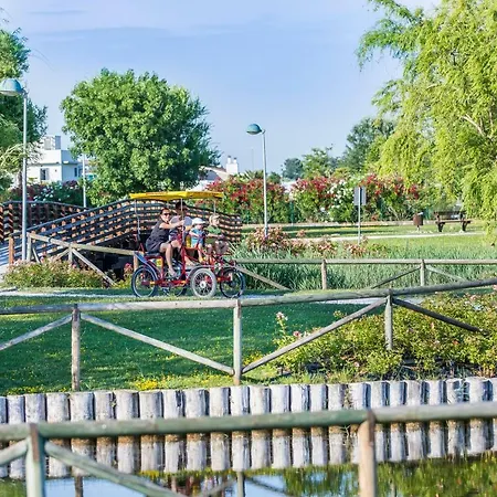 Ginepri Lido Altanea * 卡奥莱