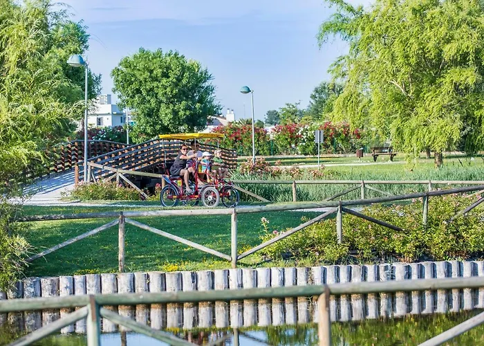 Ginepri Lido Altanea * カオルレ